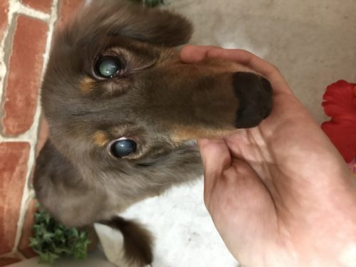 0387d9ed-96ae-4c19-adbf-a0ddbf54bd93