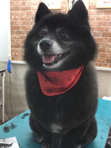 059c12ea-437b-4b18-9824-042378b47d0f