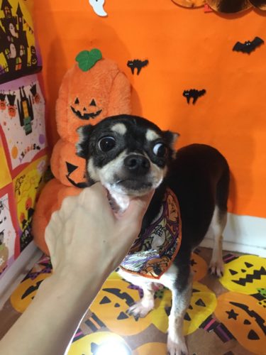 0826d0ec-1ad2-4f18-a70c-eeb23812fae2