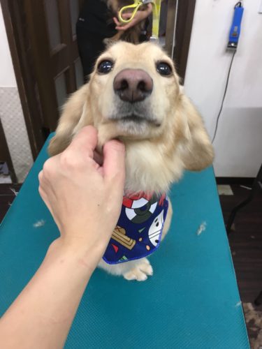 111eb519-138a-469c-8f68-1fbd364f70ec