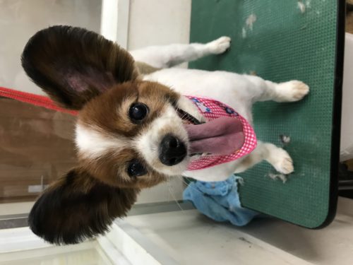 153e3219-e07b-44a3-9b3b-da808d817423