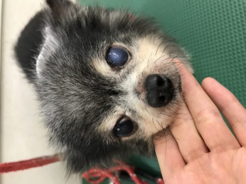 1682c8e5-ce88-4821-b612-1987d369cccc