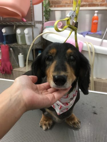 21e8fac2-704e-4eb9-9fbc-db242ec6ac45