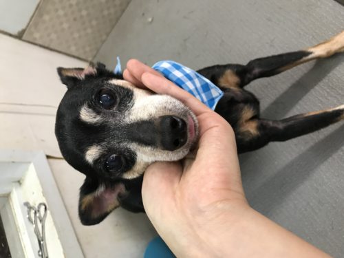 220d7acc-b6f0-4d3c-882a-09ac939be99f