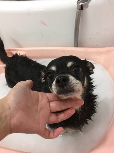 26e5c079-9b7a-4825-8641-00c73520922d