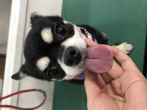 28a8838d-fc54-49fa-95e0-670e97571f19