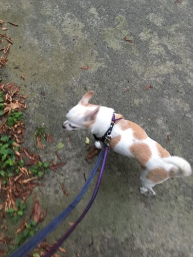 28dd5583-fc59-4fee-a05b-3fd20354f80a