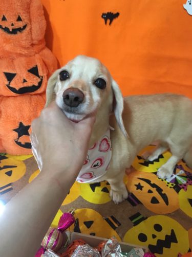 296bc3db-c227-4497-a000-459105e3f636