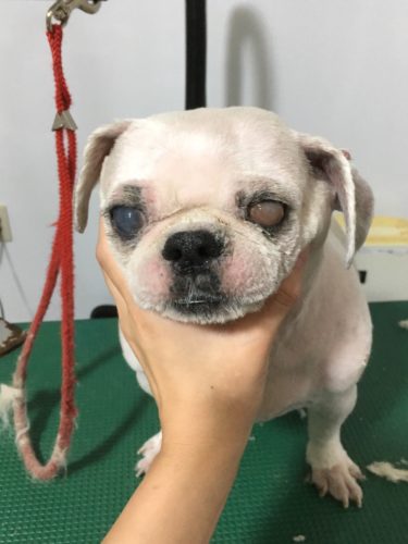 35aa5c42-506b-4f9a-8bfa-10df4474d233