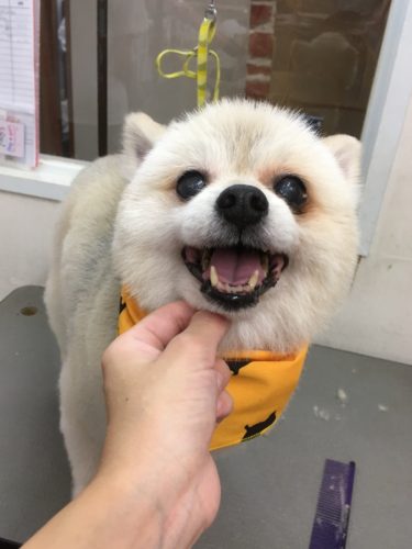 46fc4ba6-c771-400c-9182-5032d4be7dad