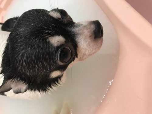 4de1f3a1-9bc7-459a-87ec-de1539710846