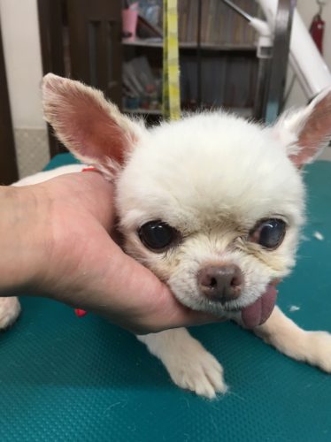 4fcd671e-9ba2-47a9-9c24-0ba712ae4095