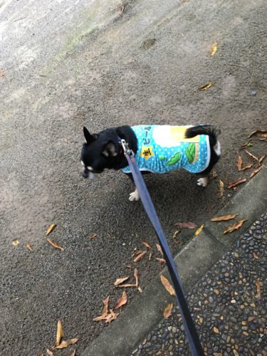 517e1a2a-446f-449c-9cb4-db444e5822ec