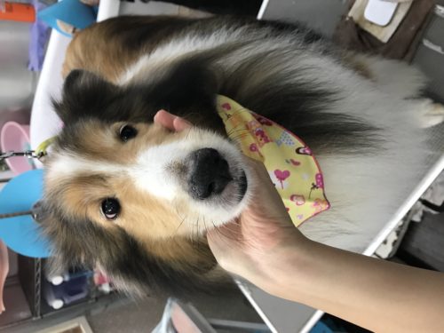 52b6631d-b750-46d6-a45d-8e966001aff2