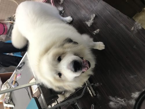 56e9aeaf-5af0-4ea7-8f48-772a93ee1327