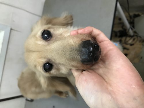 5a4f9615-c975-4a4c-8270-584127303a90