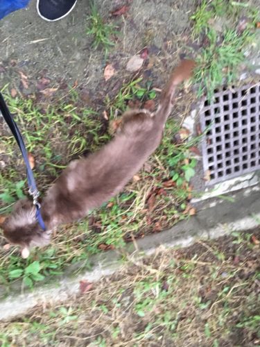 5f321a07-9cc5-4e3b-917b-7cc08cab11e6