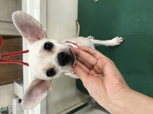 6637adb8-4828-45dc-87c1-2b73524e61b4