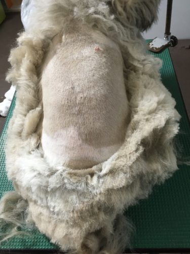 687546ec-890c-43e3-86f7-0ef725761bf7