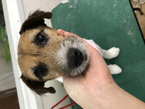 707cd97f-7ae4-4b9f-a378-8b311a6f458f