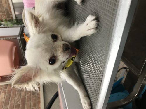 7a96f923-438d-4475-a647-a273cd356949