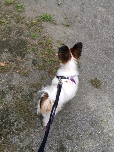 7b11cd49-0504-4c86-b14f-de7d4b3f4353