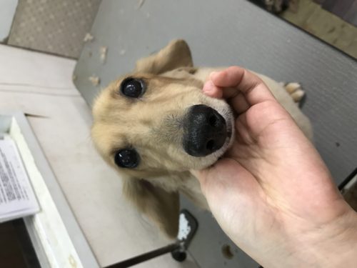 9247de09-be06-4c1d-8dfd-502ddc519b98