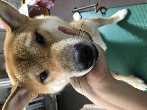 93bb6284-7e8b-4f16-8b15-04325c4a0cb1