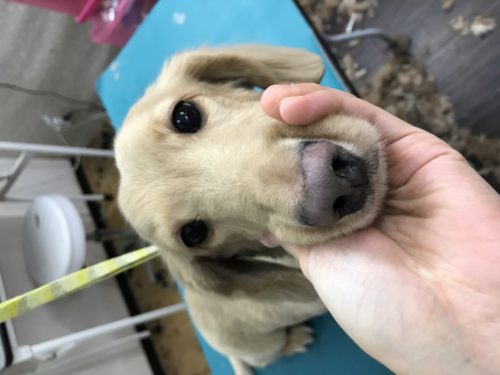 93f2b39f-06f1-4c25-bc05-761a4e6f6303