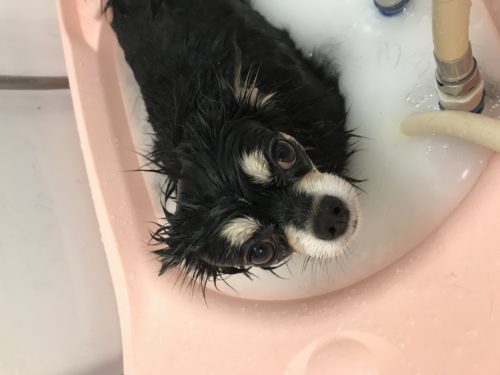 93f8554c-55ac-43fc-b71a-d65c5cae8a69