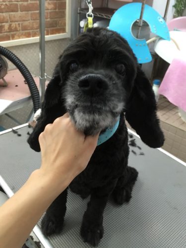 970fef8b-765e-4210-9ff6-18d4ebed3233