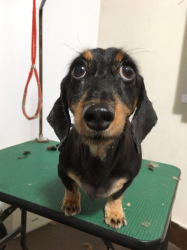 99663d5e-7fe3-4e3e-a4e8-09250b3abf4d