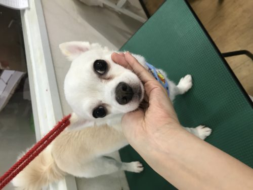 9baaba2b-14fa-477b-a6e3-66aa171af75a