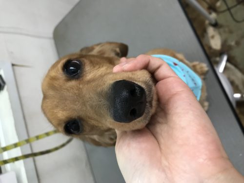 a092f288-047d-463f-afa2-ccc80eff064d