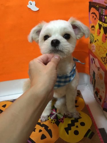 a7956fd2-da5c-4a70-a935-ee544926e4ba