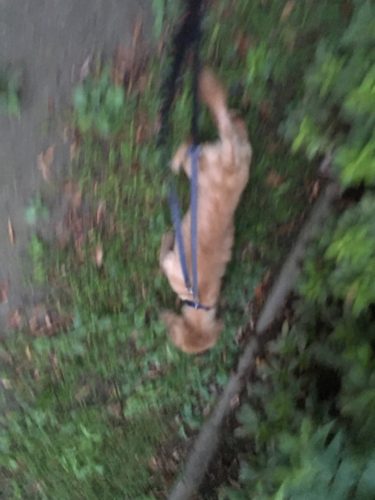 b197d335-d648-4402-89b7-d55884392e38