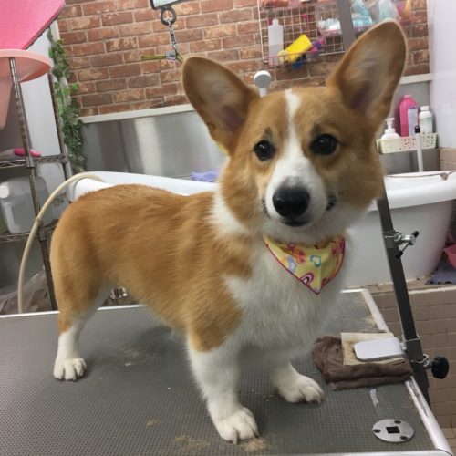 b9343fb8-cdd0-4c48-aa09-a41523c73c94