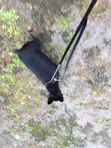 bb67f50d-778d-4713-8442-3a9b76060a55