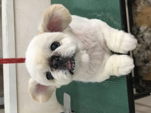 c2825a63-afa6-41c2-bef9-7fe07c10b8f3