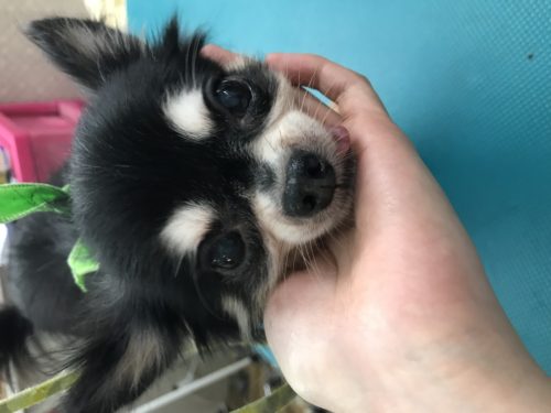 c343462f-803c-4aec-892d-24958c4cb83a