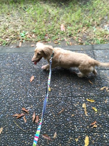 c6b08215-4b5e-4d5d-a21f-c82d82834a8b