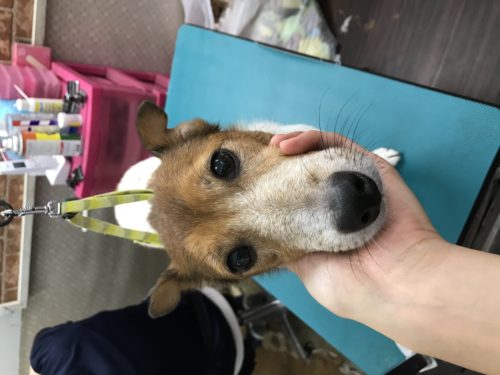 c98a925a-5136-4b3b-9a8e-25e5f90f30cb