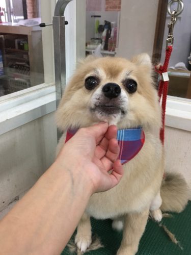 d2ad9560-054a-4c4c-986f-863f853ab150