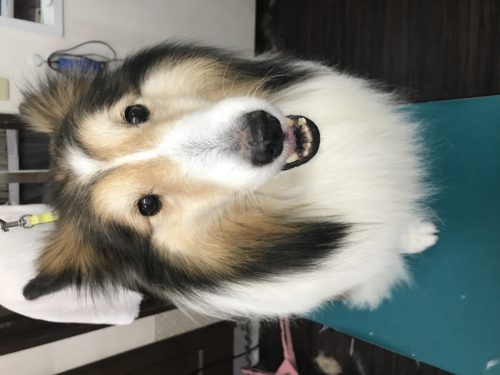 d903eb8d-aa5f-4d8d-9405-faddb312e642