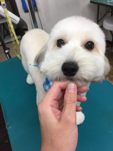 db726887-08ac-425f-8d00-6a963f4bae7a