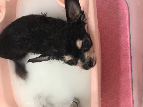 df8c4510-d35d-4827-bbef-4b1b0157cce2