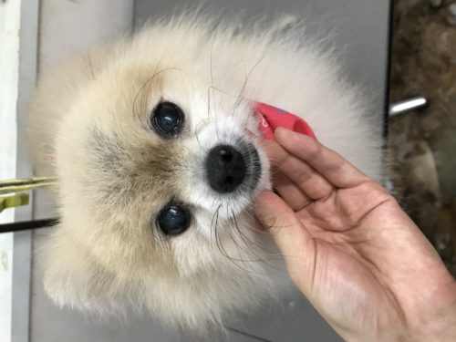 e2a57880-bb81-4a19-aeb2-5f0b5a27234e