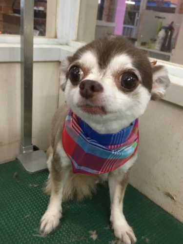 e533be8d-b827-46c7-ac52-d694c79db4aa