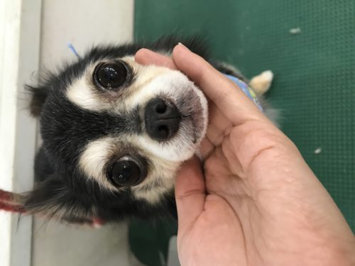 f2083ed0-9a10-4b23-a5ed-40639a26f4a9