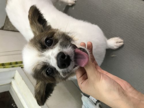 f39475c1-3976-42cf-a7c9-bf9f53aa6c63